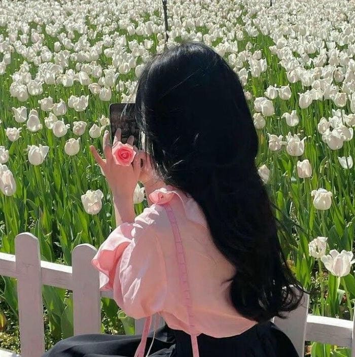 Ảnh avatar hoa tulip trắng chill