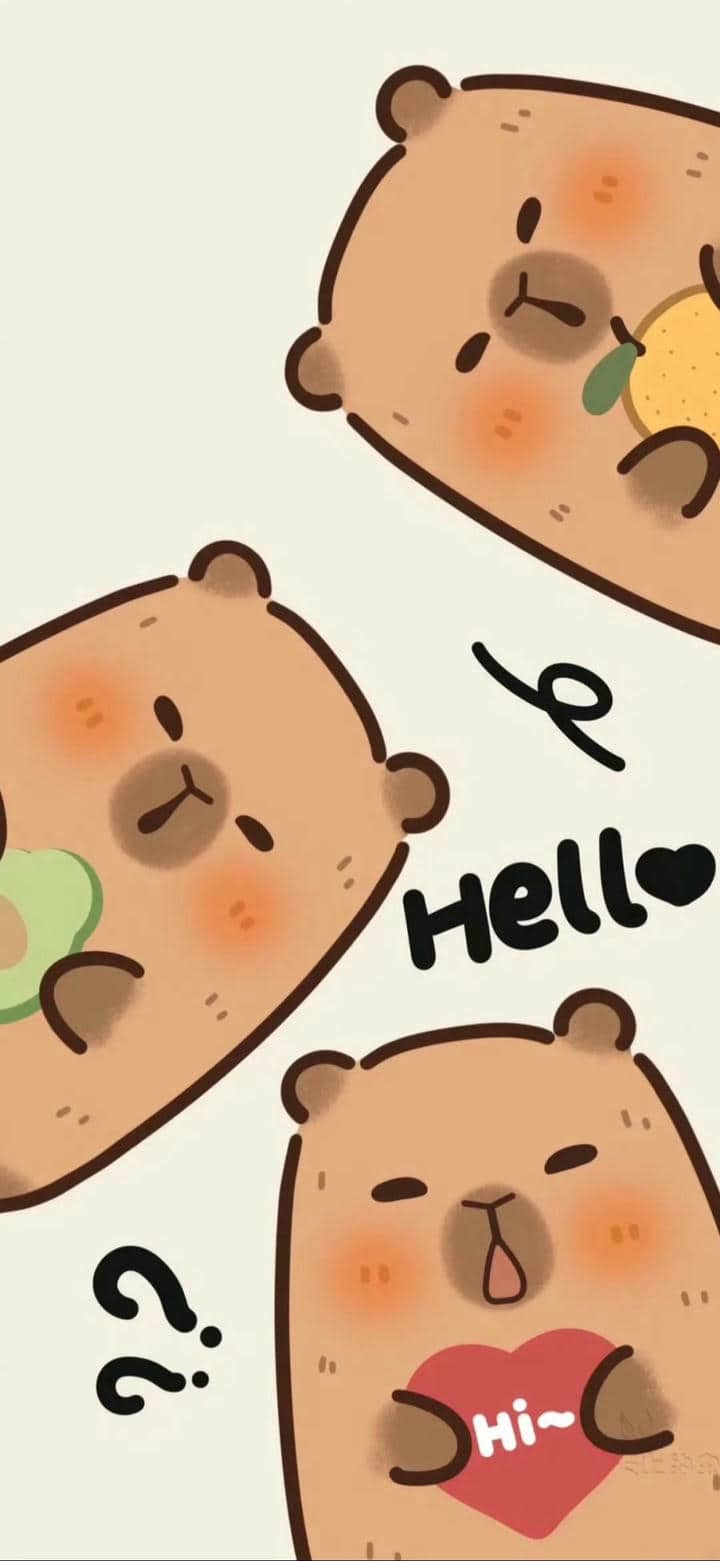 Ảnh hình nền cute hình Capybara cho điện thoại