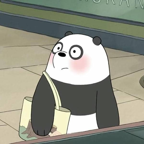 Avatar gấu trúc We Bare Bears