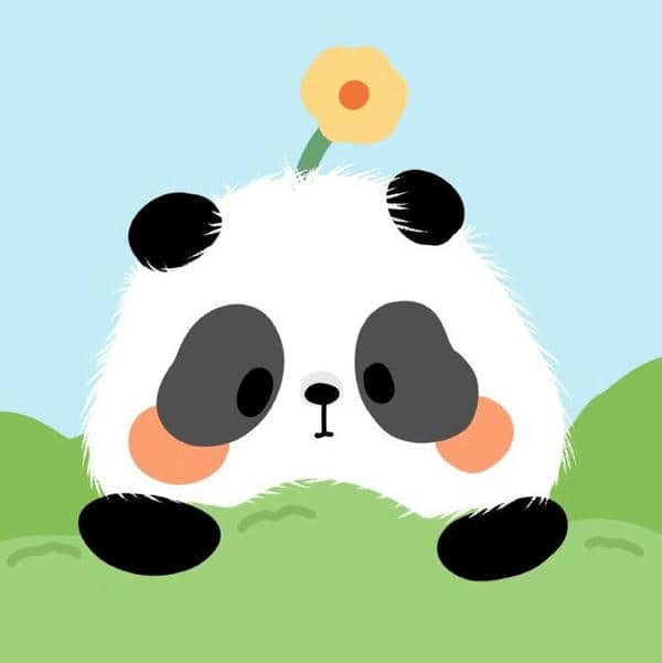 Gấu trúc ảnh avatar cute