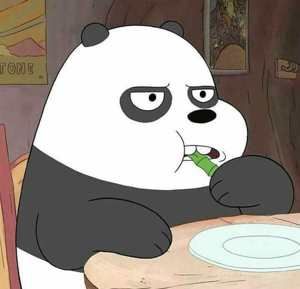 Gấu trúc panda avatar gấu cute