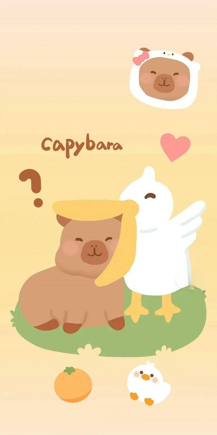 Hình nền Capybara vô tri siêu cute