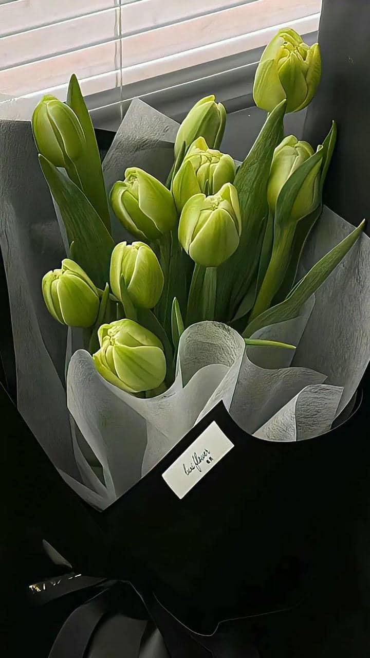 Hình nền hoa tulip xanh