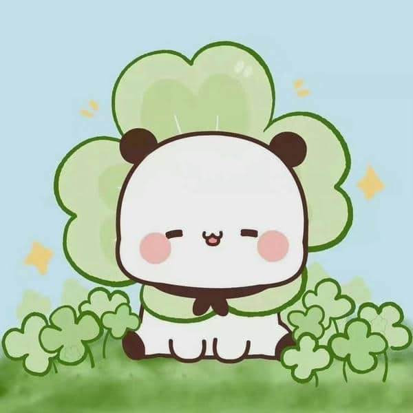 Ngộ nghĩnh avatar gấu cute